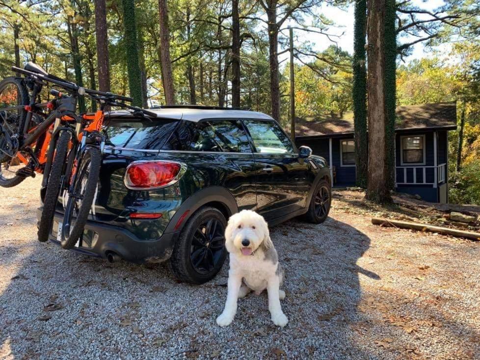 Loblolly Pines Adventure Cabin 2 King Eureka Springs Luaran gambar